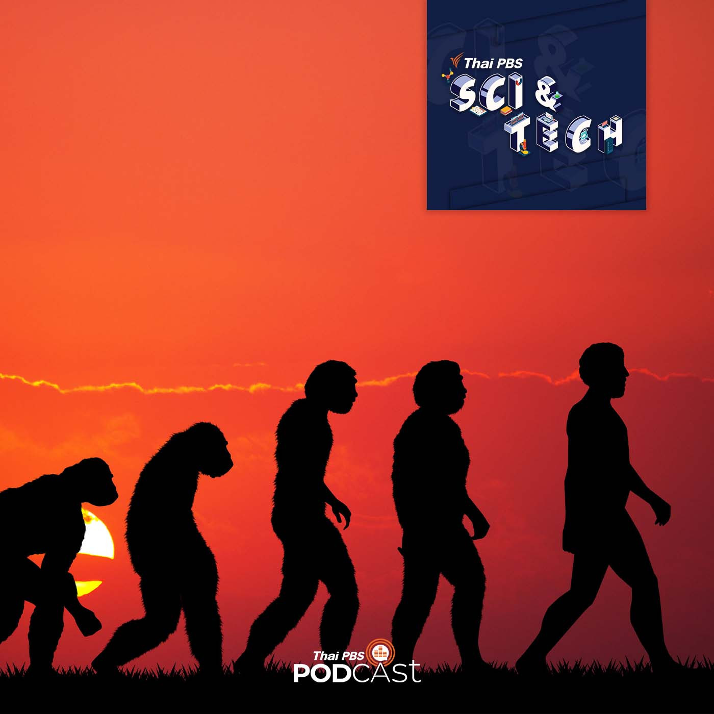 Sci & Tech EP. 653: วิวัฒนาการของมนุษย์จะไปทางไหนต่อ