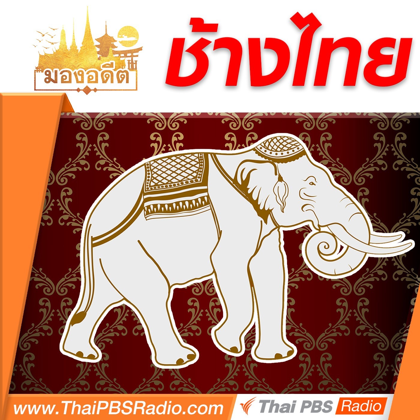 มองอดีต : ช้างไทย